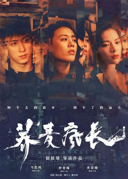 意大利护照模板哪里可以做假的